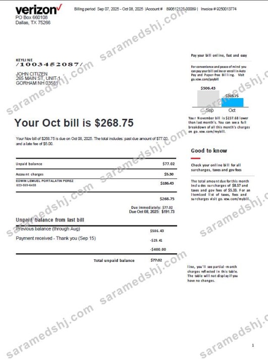 USA Verizon utility bill template in Word and PDF formats, version 3